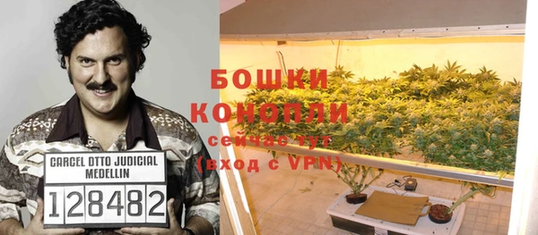 ALPHA PVP Беломорск