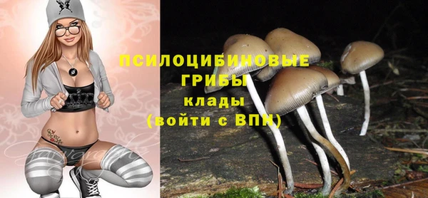 ALPHA PVP Беломорск