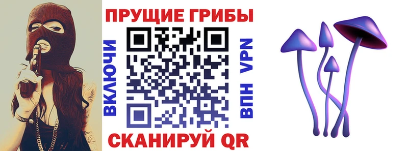Галлюциногенные грибы ЛСД  продажа наркотиков  Мышкин 